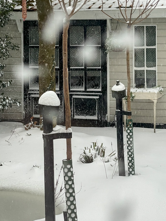 Snow in the Netherlands