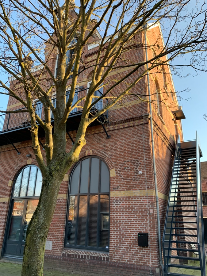 Building near Spaarne