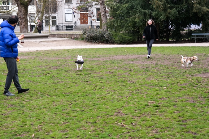 Wertheim park Amsterdam