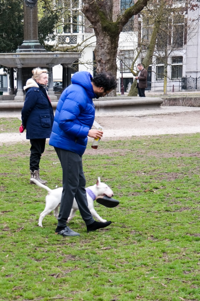 Wertheim park Amsterdam