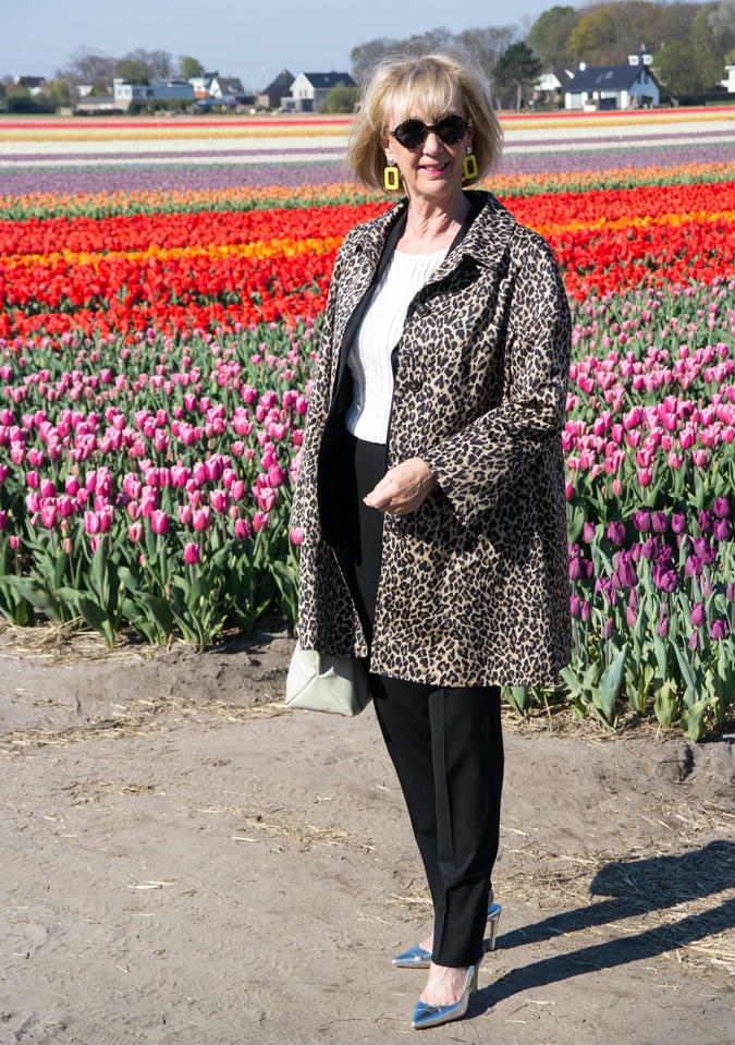 Tulip fields