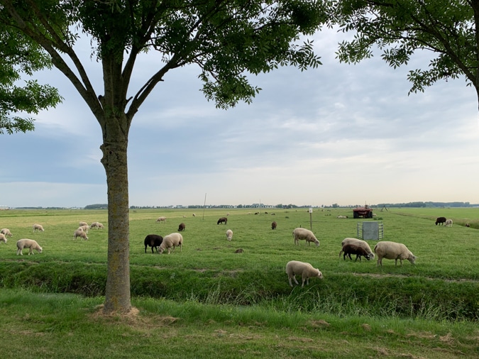 View from the mobile home in the morning