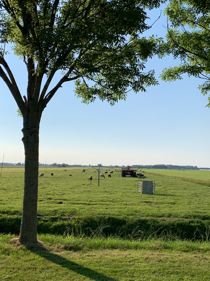 view from the mobile home in the evening