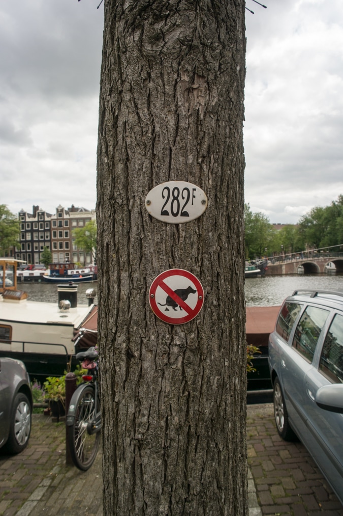 No dog shit here please