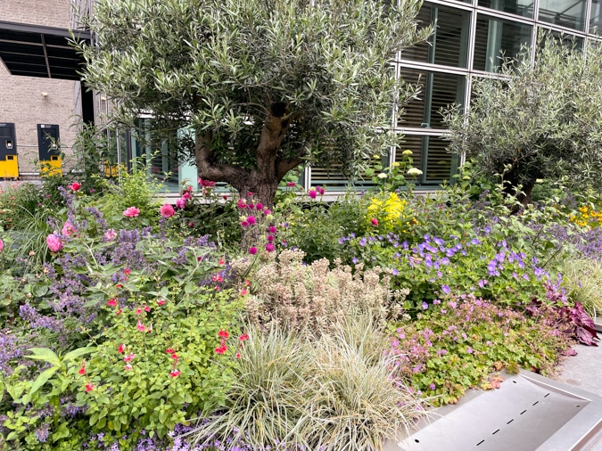 Near Van Gogh Museum Amsterdam