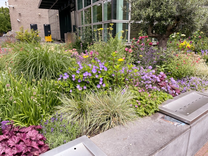 Near Van Gogh Museum Amsterdam