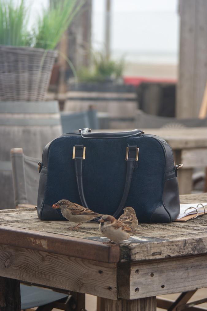 Blue bag and birds