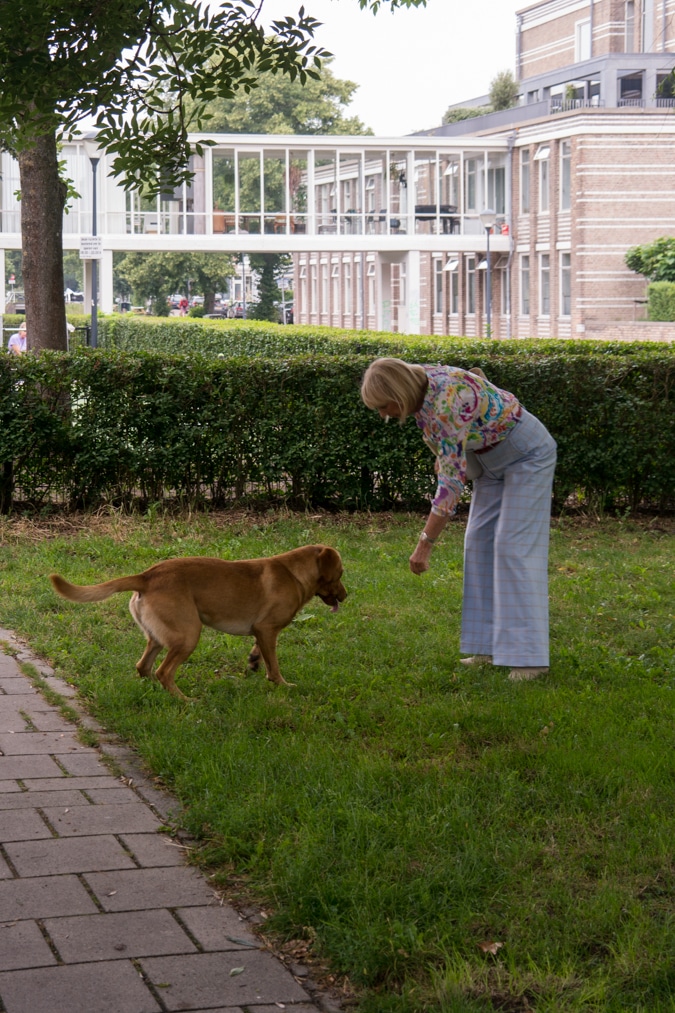 Wide blue trousers with cream perforated suede EIJK boots