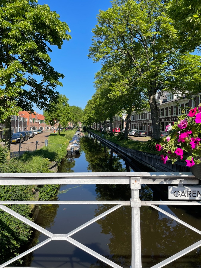 Little bridge with flowers