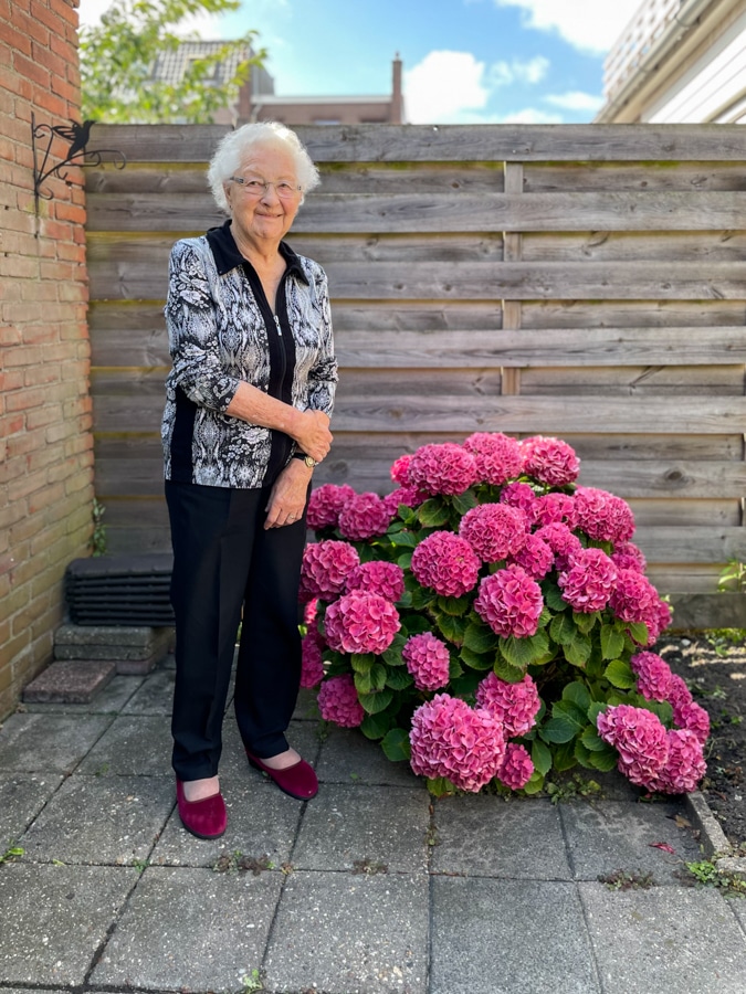 mum and pink hydrangea