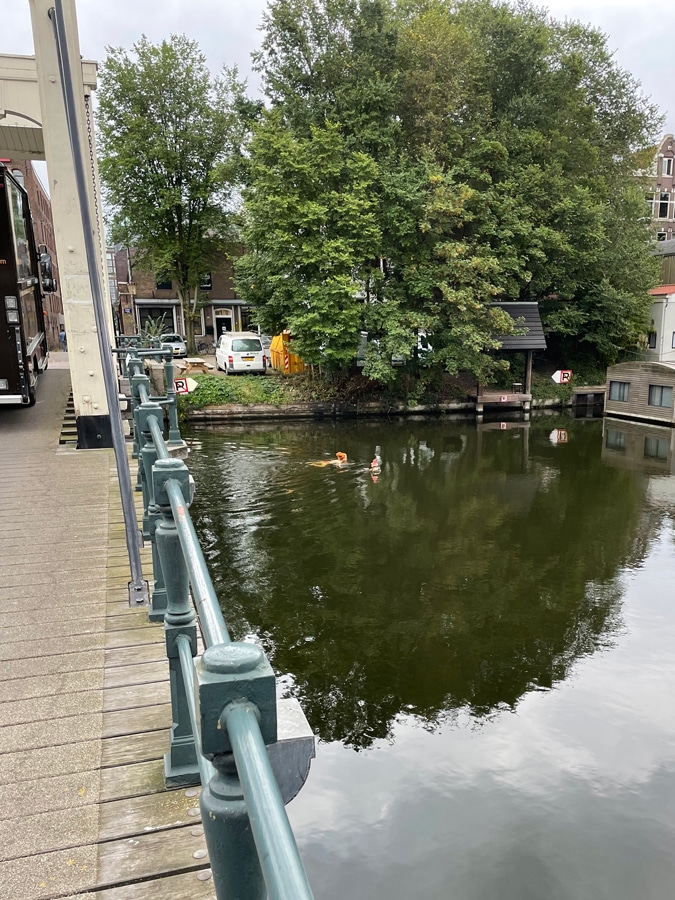 swimming in the canal