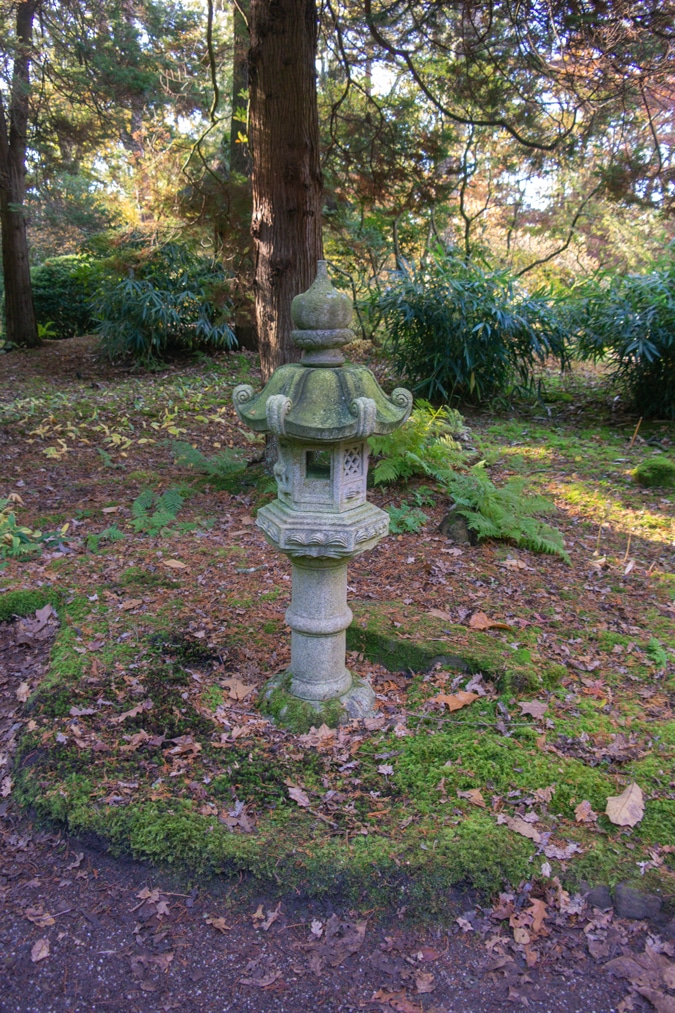 Japanese garden in The Hague