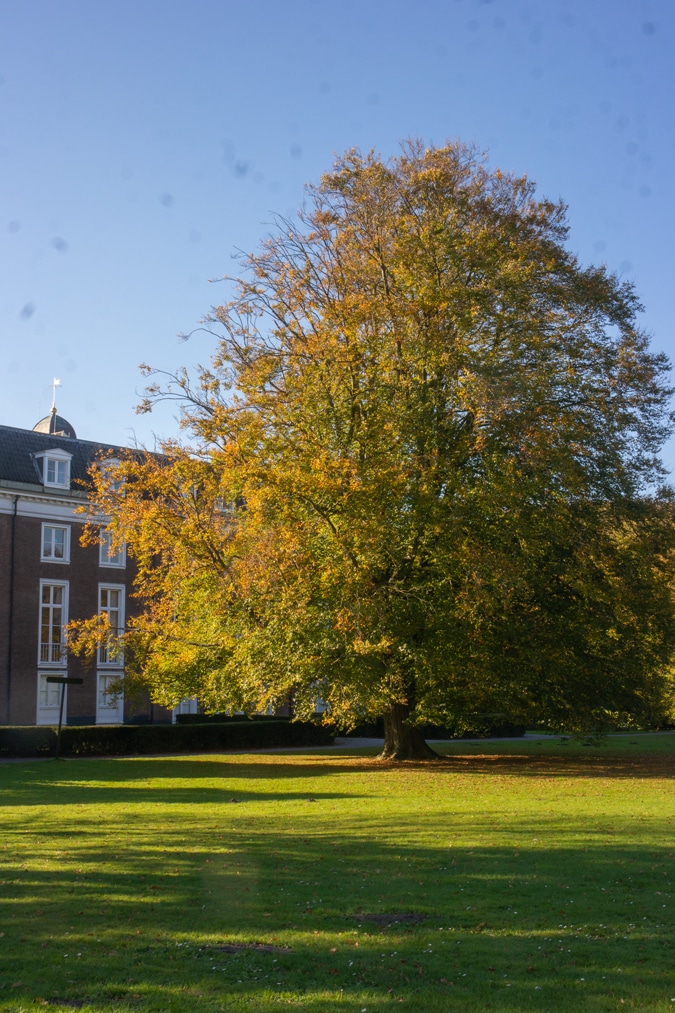 Park Clingendael The Hague