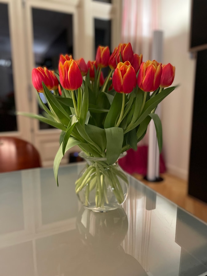 Tulips