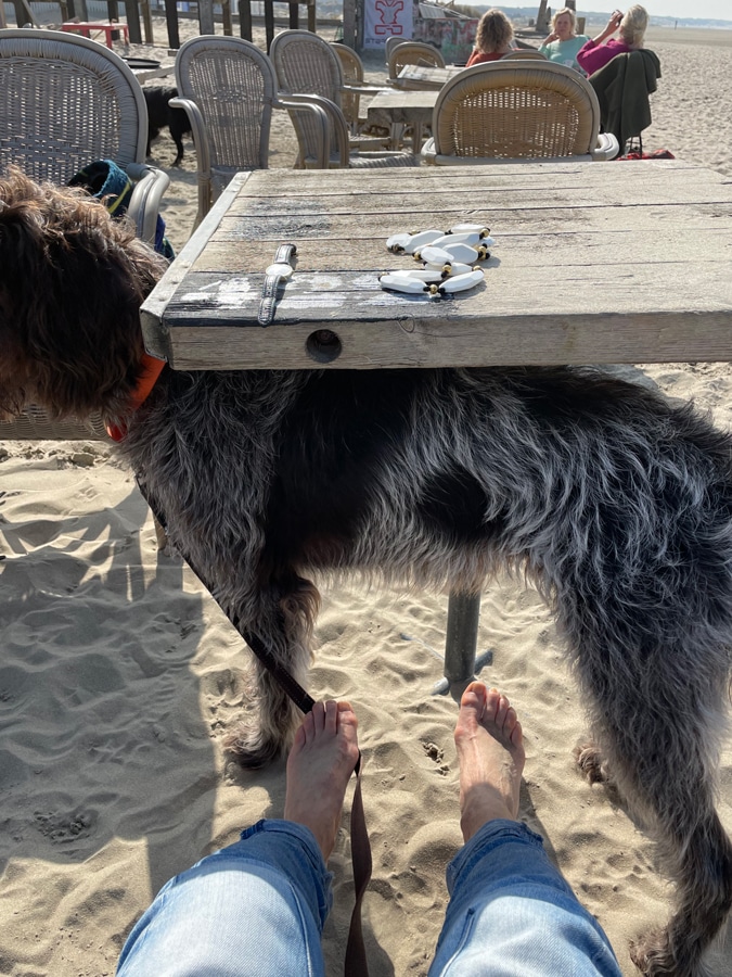 At the beach on March 22