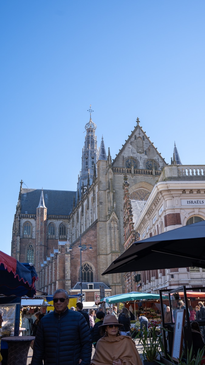 Saint Bavo church of Haarlem
