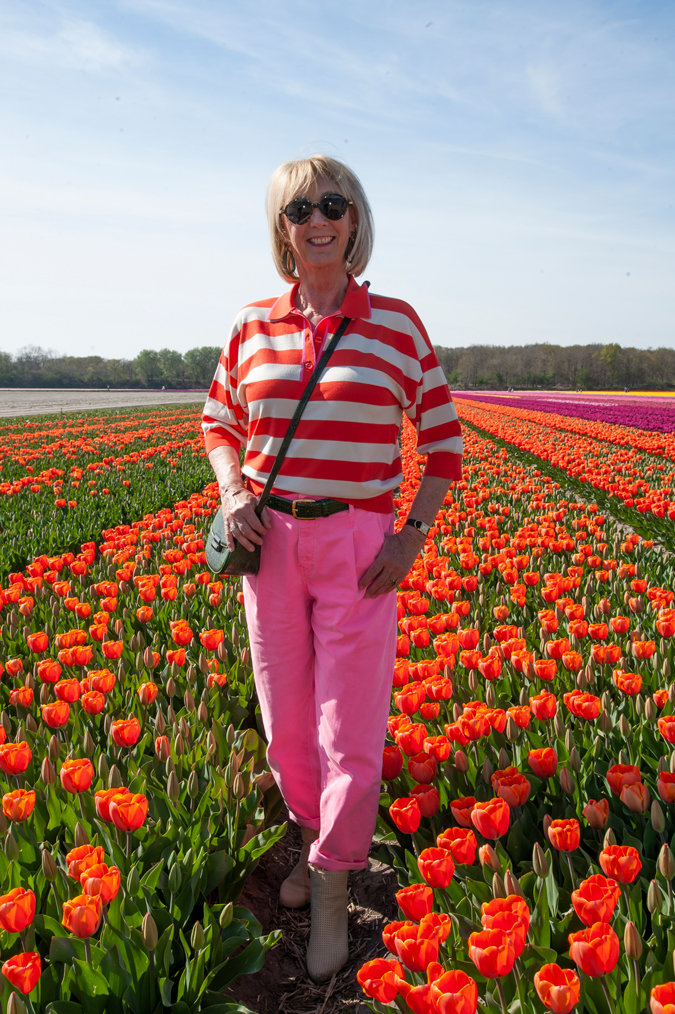 Colour blocking in a tulip field