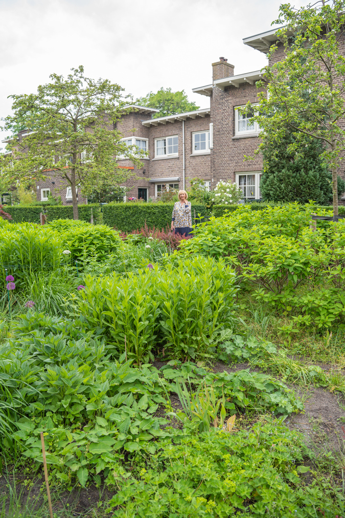 elegant dress in blue and yellow