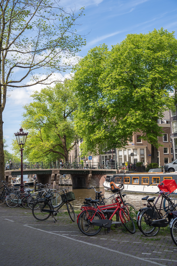 Canal and bridge in Amsterdam