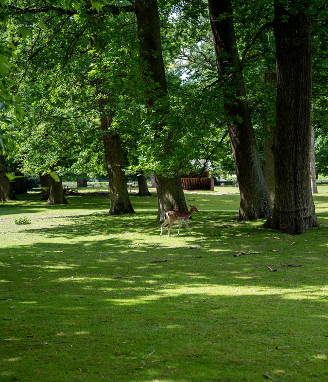 View from the restaurant