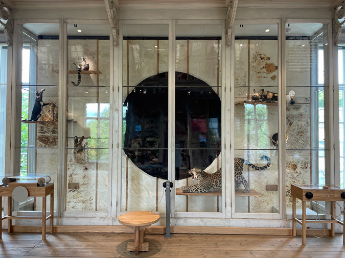 Groote Museum of Artis, Amsterdam