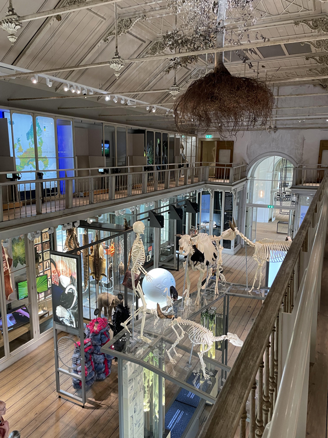 Groote Museum of Artis, Amsterdam