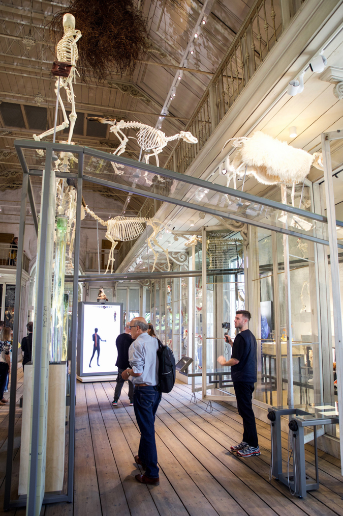 Groote Museum of Artis, Amsterdam