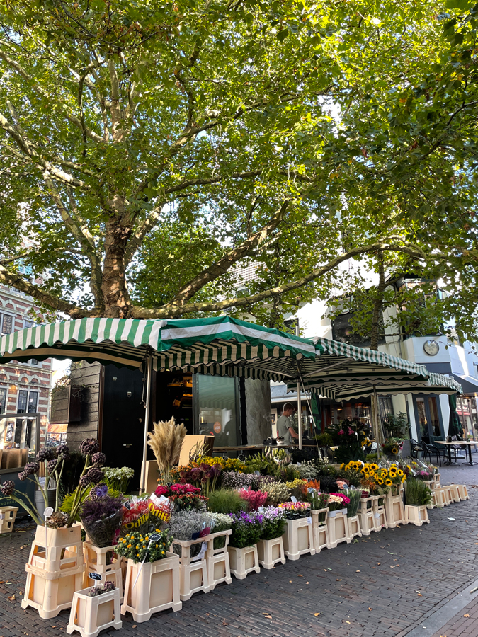 Flower stand Haarlem