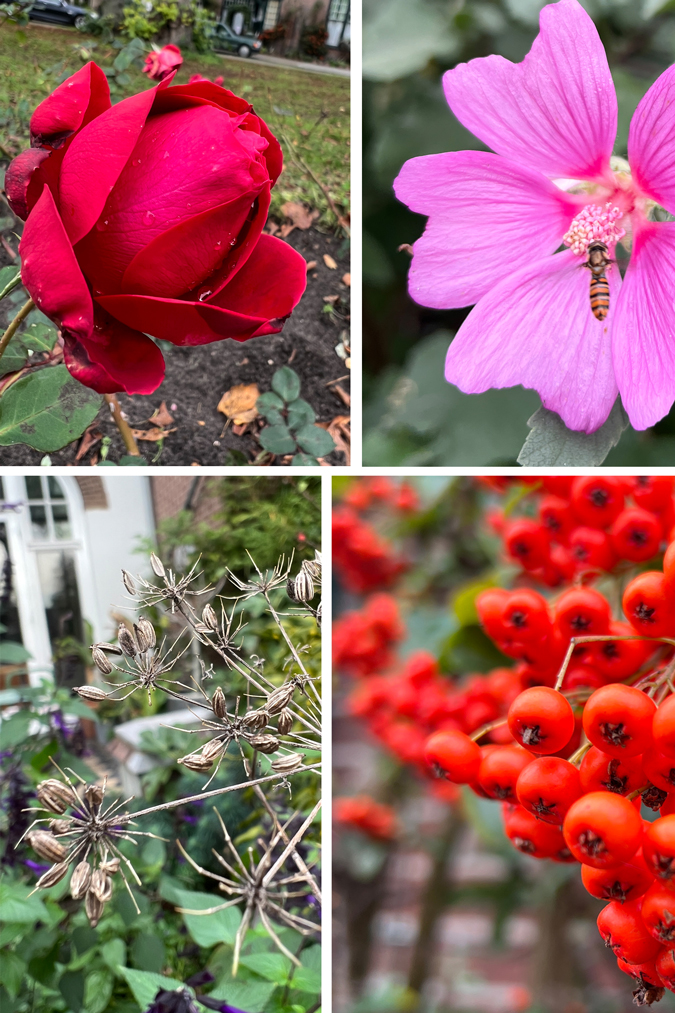 Autumn at Kleverpark