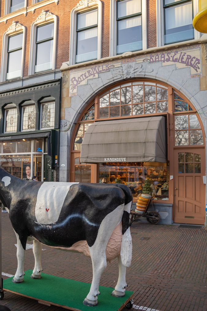 Cheese shop in Rotterdam