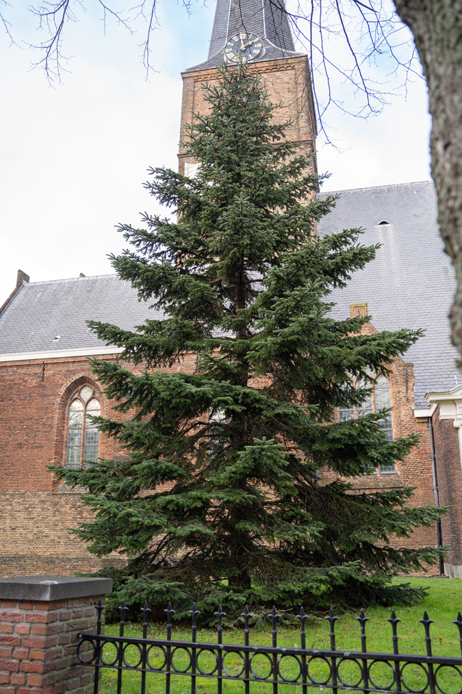 Old city centre of Rijswijk