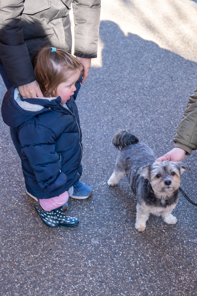 Little girl with little dog