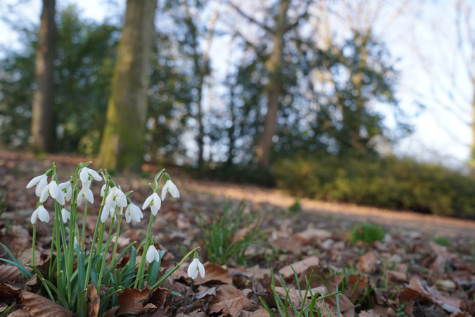 Rule of thirds and levelling