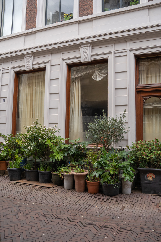 Pretty building in Haarlem