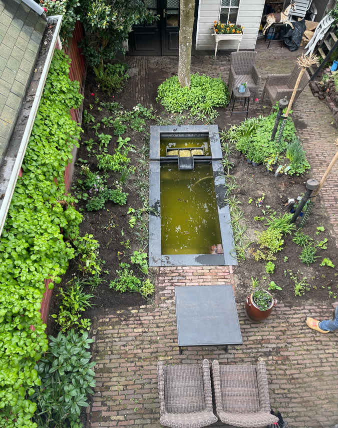 Garden after planting