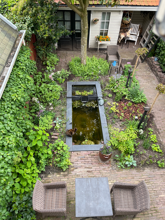 Garden the 18th of May 2023