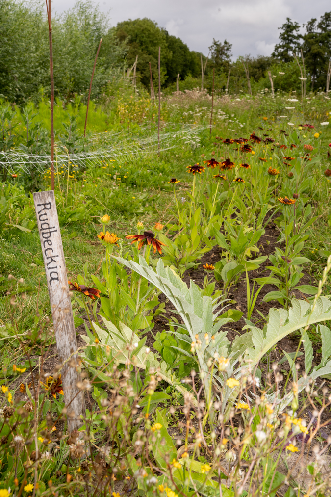 Plukweide (flower plucking garden)