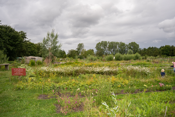 Plukweide (flower plucking garden)