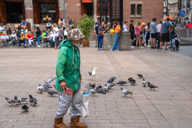 Feeding the pigeons