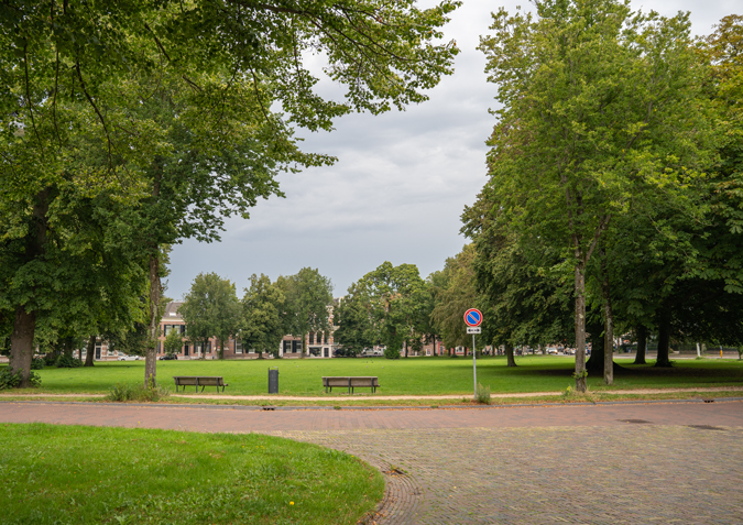 Park in Haarlem