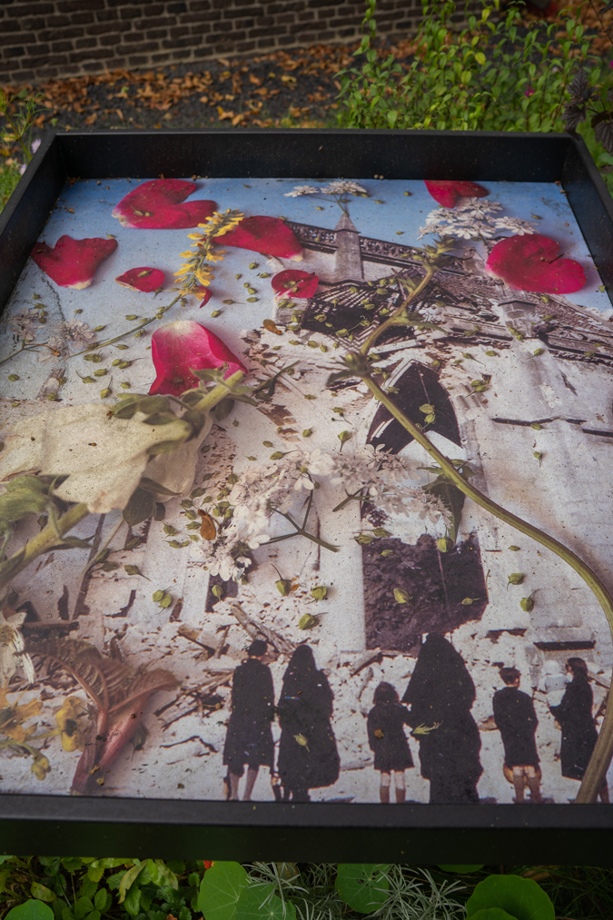 Laurence Aëgerter, Digitalis ambigua