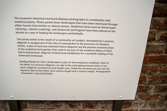 Explanation of the Healing Plants exhibition