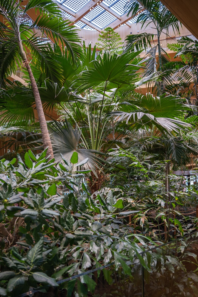 Plants and trees at Hotel Jakarta