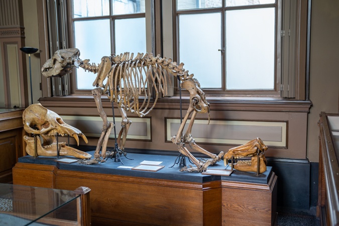 Teylers Museum Haarlem