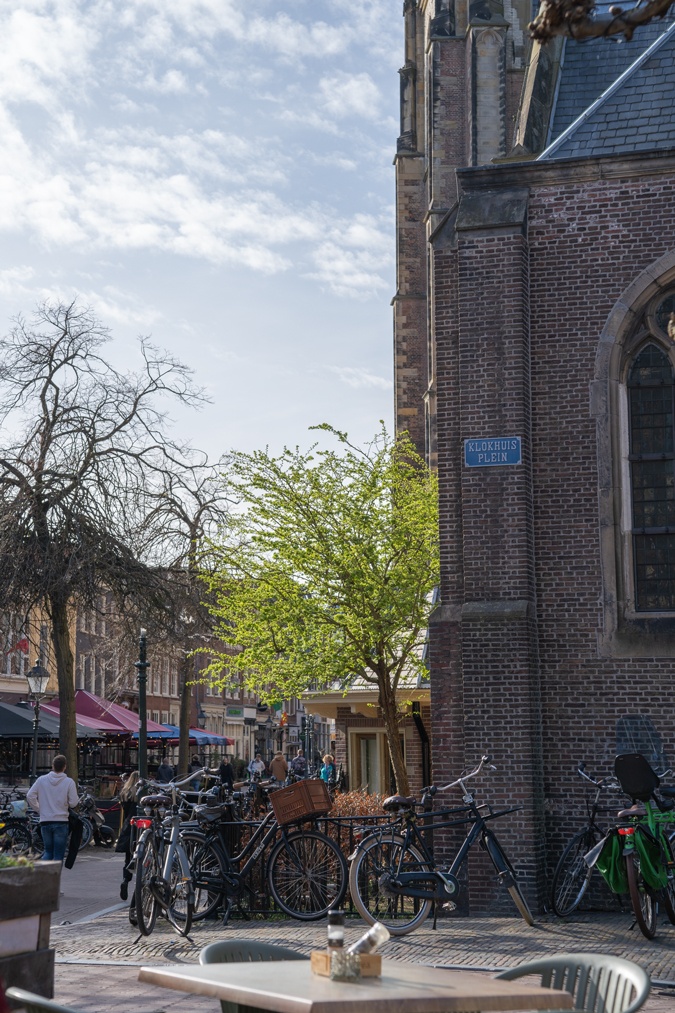 View from the restaurant terrace