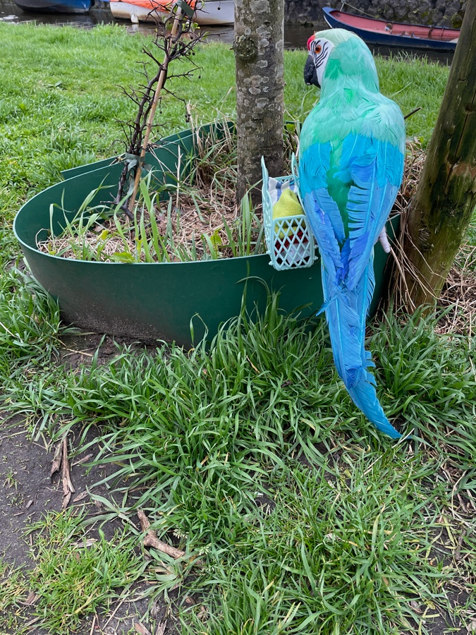 Errol is leaving home