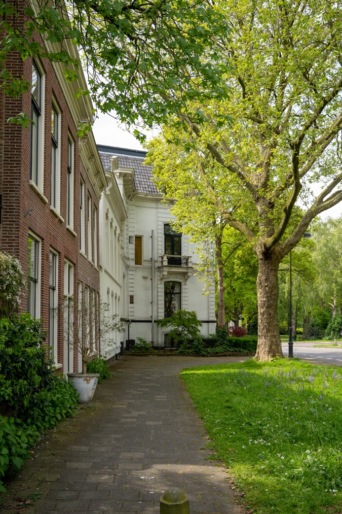 Old houses in Haarlem