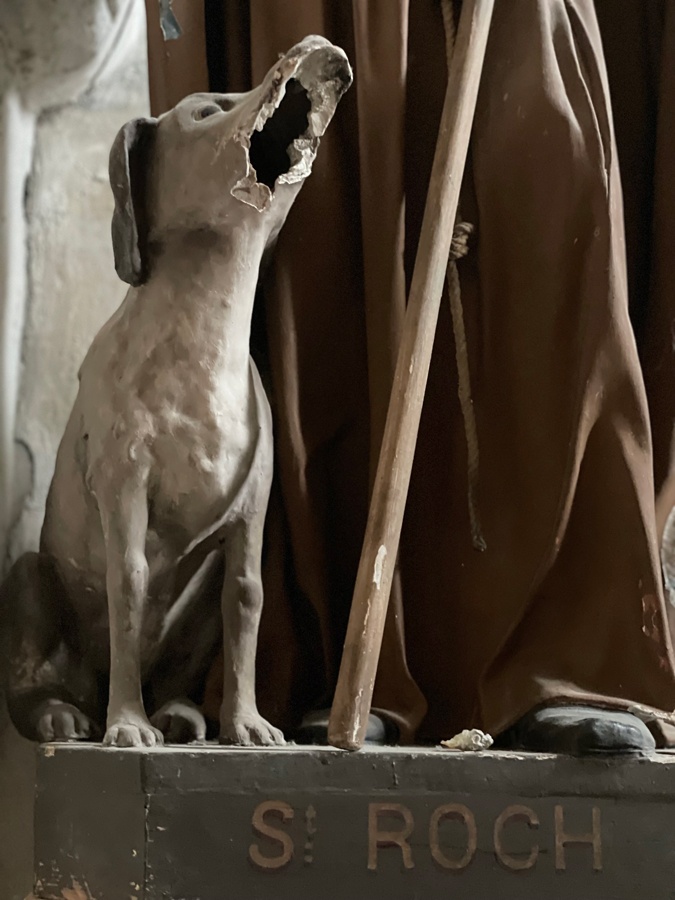 Damaged dog at the church of Ansouis