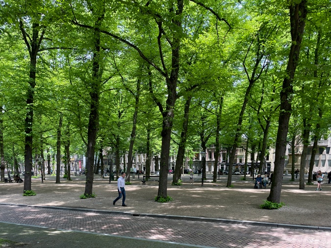 Lange Voorhout The Hague