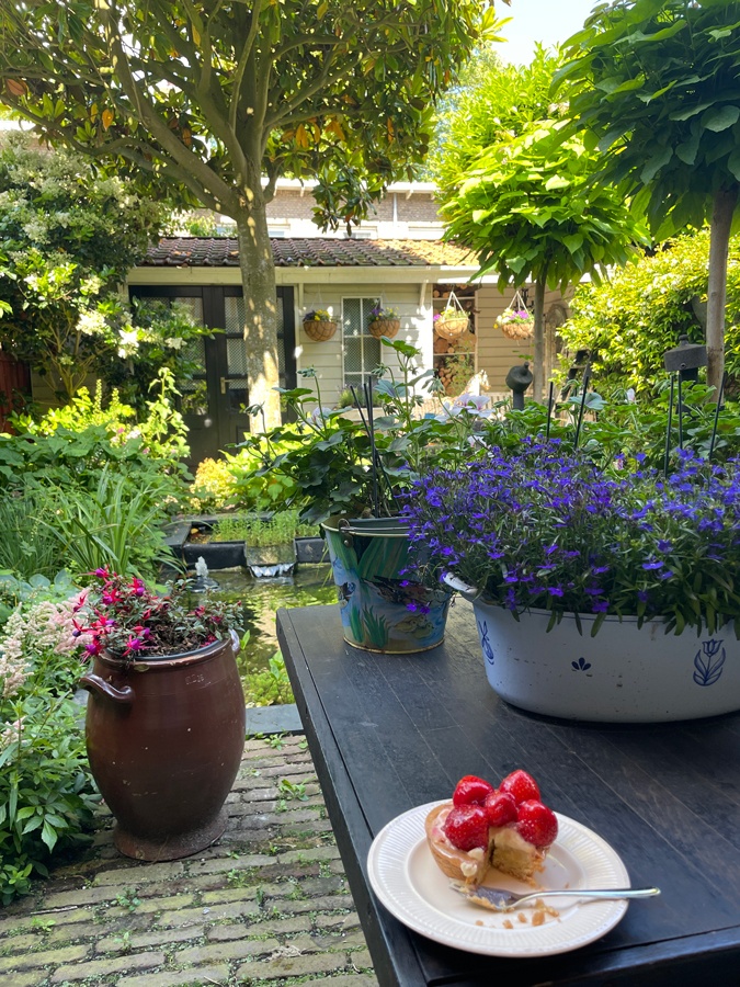 Garden in the morning